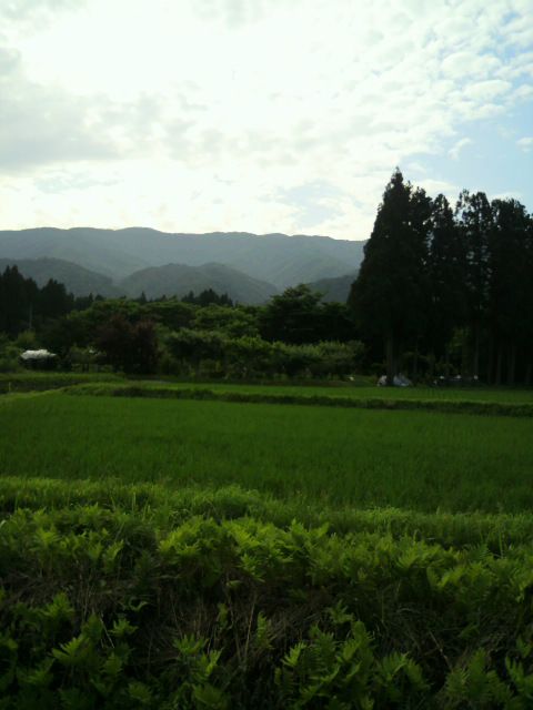 頑張ってます！