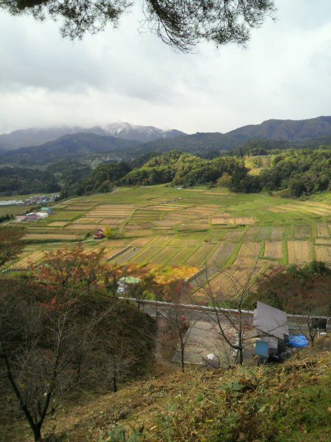 【椹平の棚田】