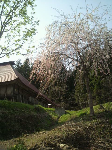 【今日は岩根沢】