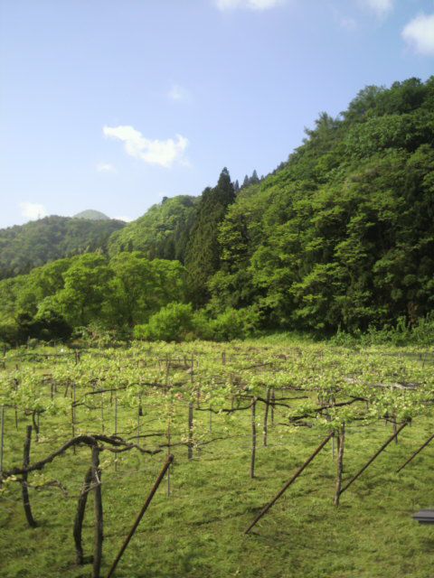 【現場からの眺め】