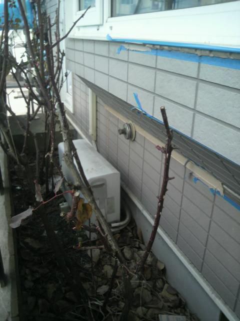 【山形市内Ｓ様邸、順調ですが・・・痛いです。】