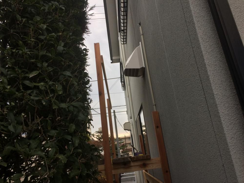 【昨日はガリガリ、今日はブルブル】