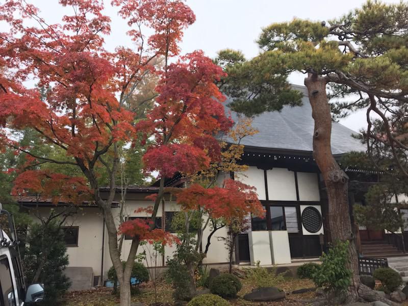 【日曜はまた学び舎へ】