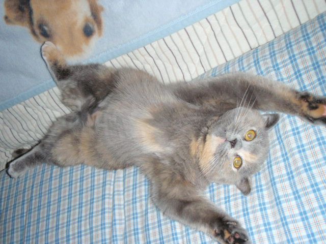 もうすぐ、ふ～ゆですねぇ～♪