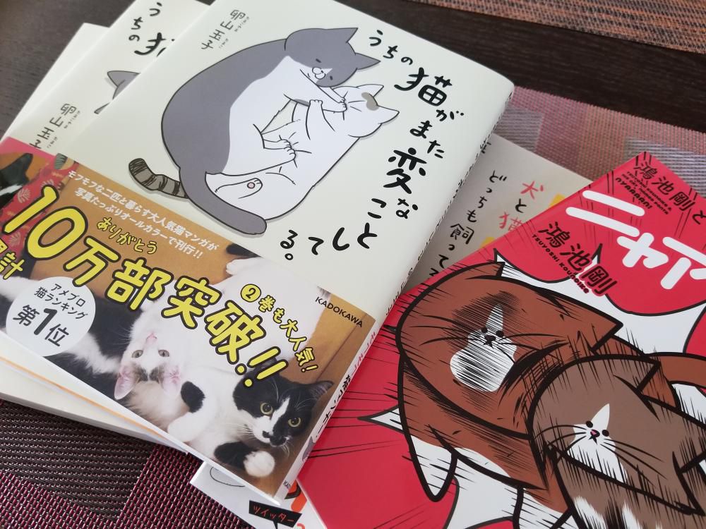 大人買い