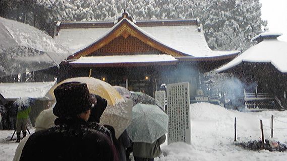 ◇２００９元旦◇