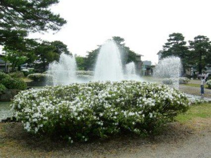 つつじ祭りとあら町レトロ