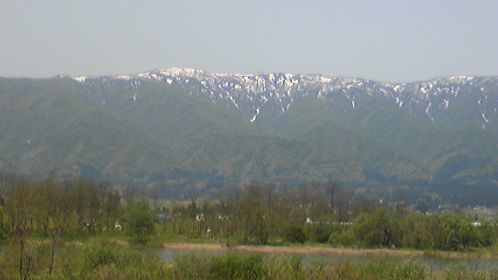 長井の初夏
