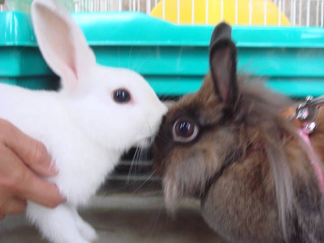 友達１００にんできるかな♪
