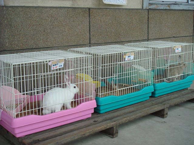 みんなそろって