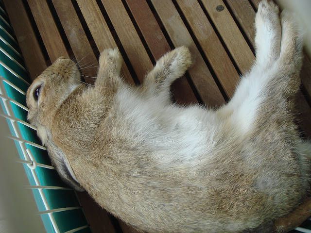 本日のおすすめショット②