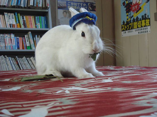 もっちぃです。