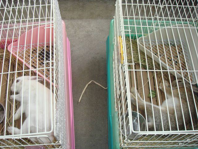 爆睡　　ZZZZZ