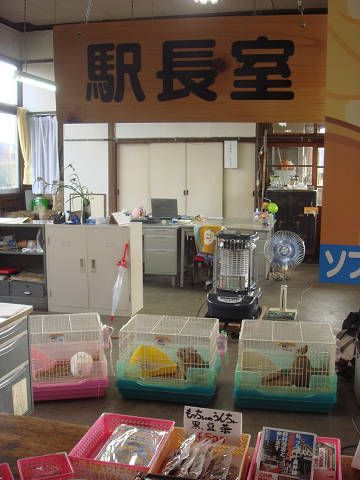 寒くなりました（＞・＜）