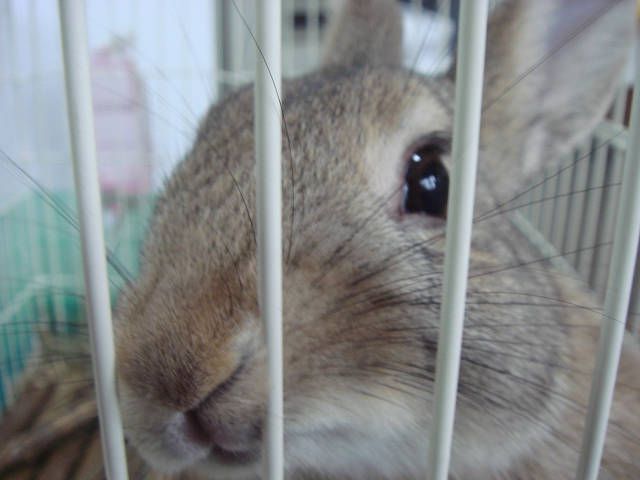 だ～れだ？？