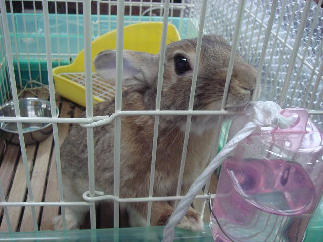 だ～れだ？
