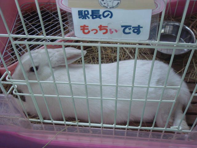 もっちぃです。