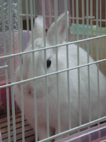 もっちぃ　です。