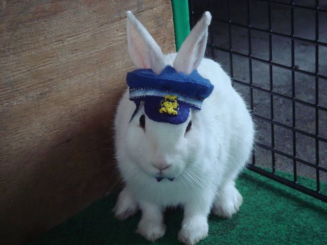 ☆お知らせ☆