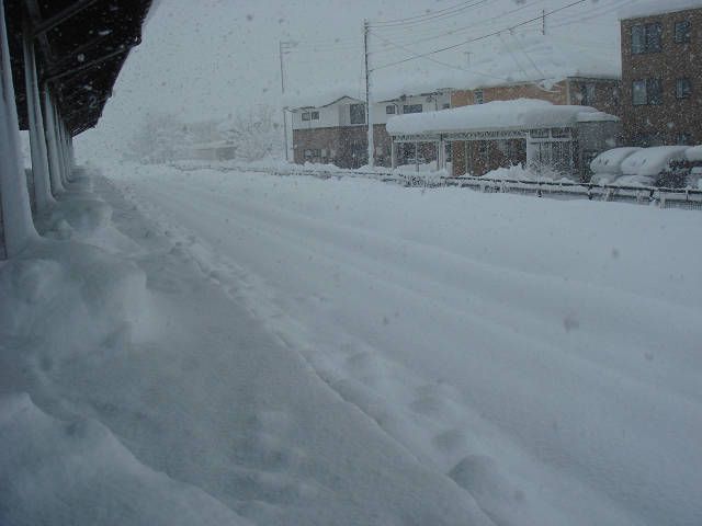 大雪！！！