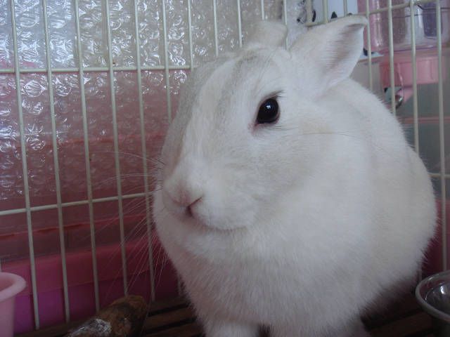 ☆あけましておめでとうございます☆