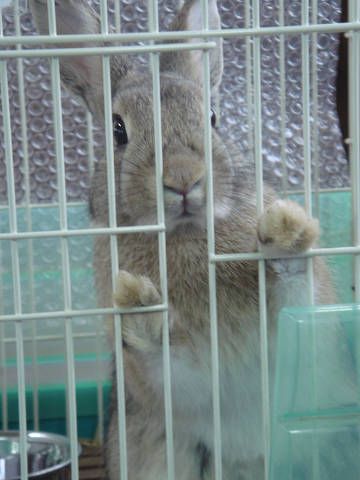 ☆お知らせ☆