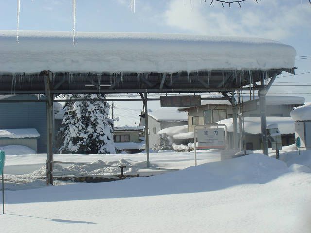 大雪です！！