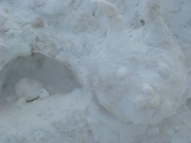 もっちぃ・かめ吉雪像登場！