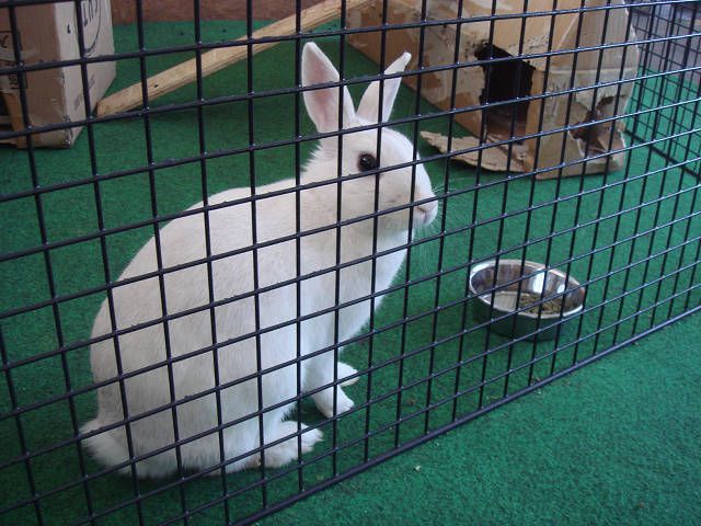 お休みいただきます。