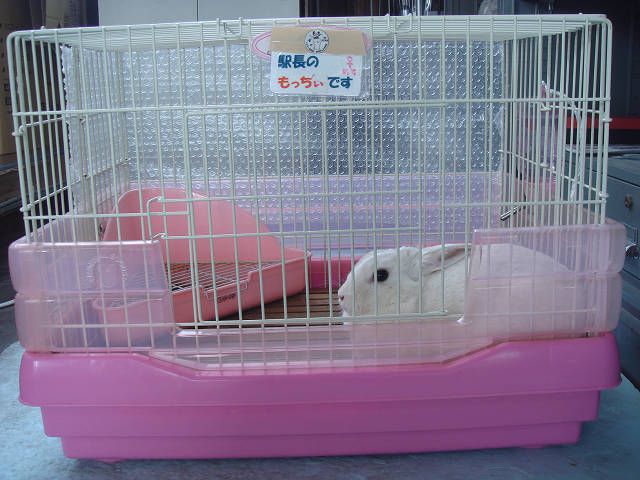 もっちぃ　です。