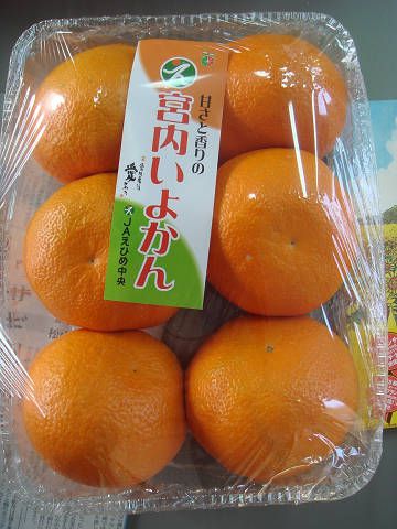 ありがとう。