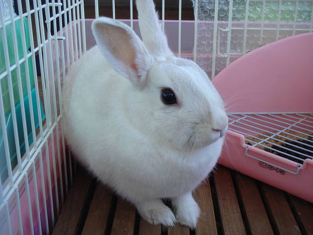 今日の　もっちぃ。