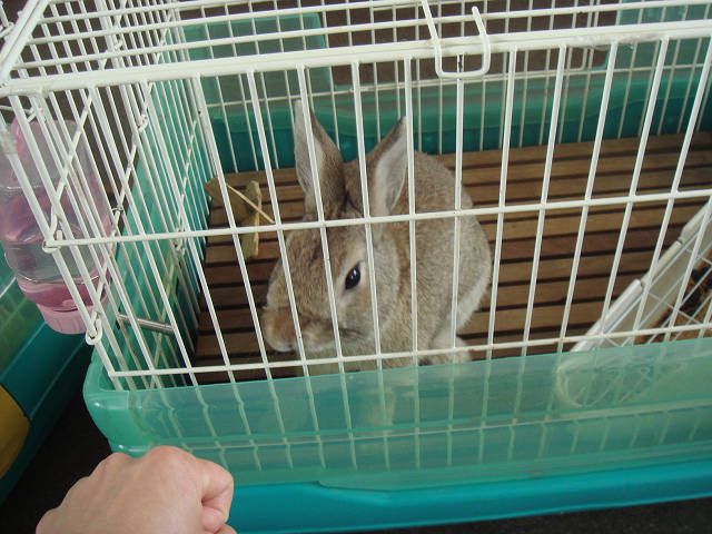 今日のぴーたーです。