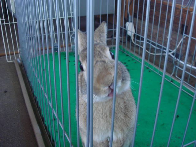 こんにちは。