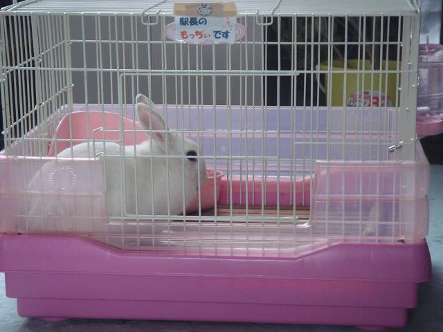 もっちぃ。