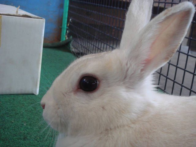 久しぶりの更新です！