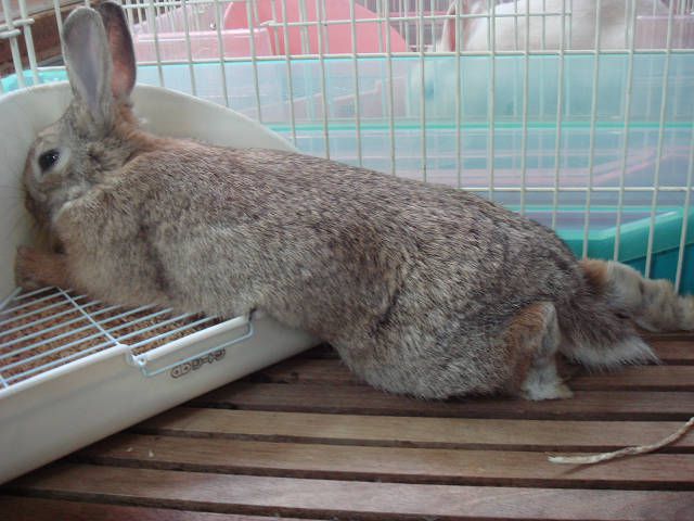 ベストショット！！