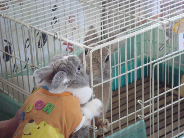 ぴーたーと御対面。