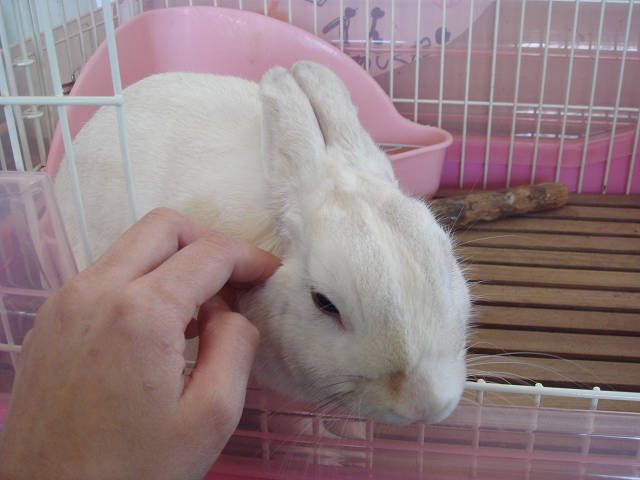 リラックス。