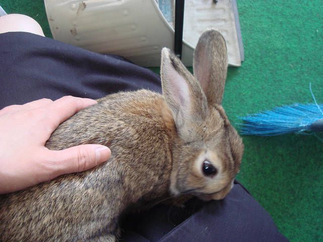 駅員さんに抱っこ