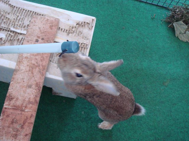 てん　あれれー