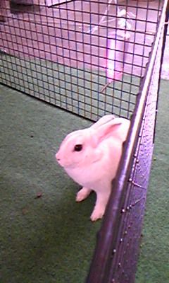 今日も(>_<)