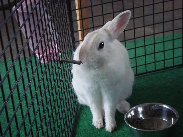 ふぁ～ん