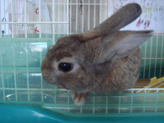 てんだよ～ん。
