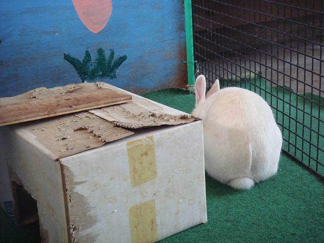バッグショット！！
