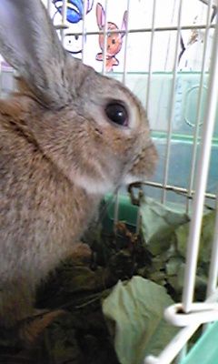 そろそろ