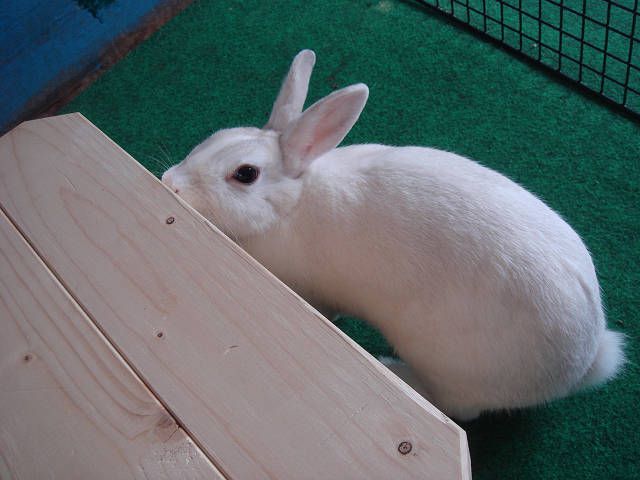 天気悪いなぁ（＞ω＜）