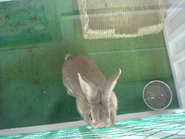てんだよ～。
