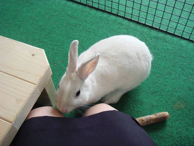 運動中