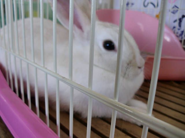 だれか遊びに来てくれないかなぁ～